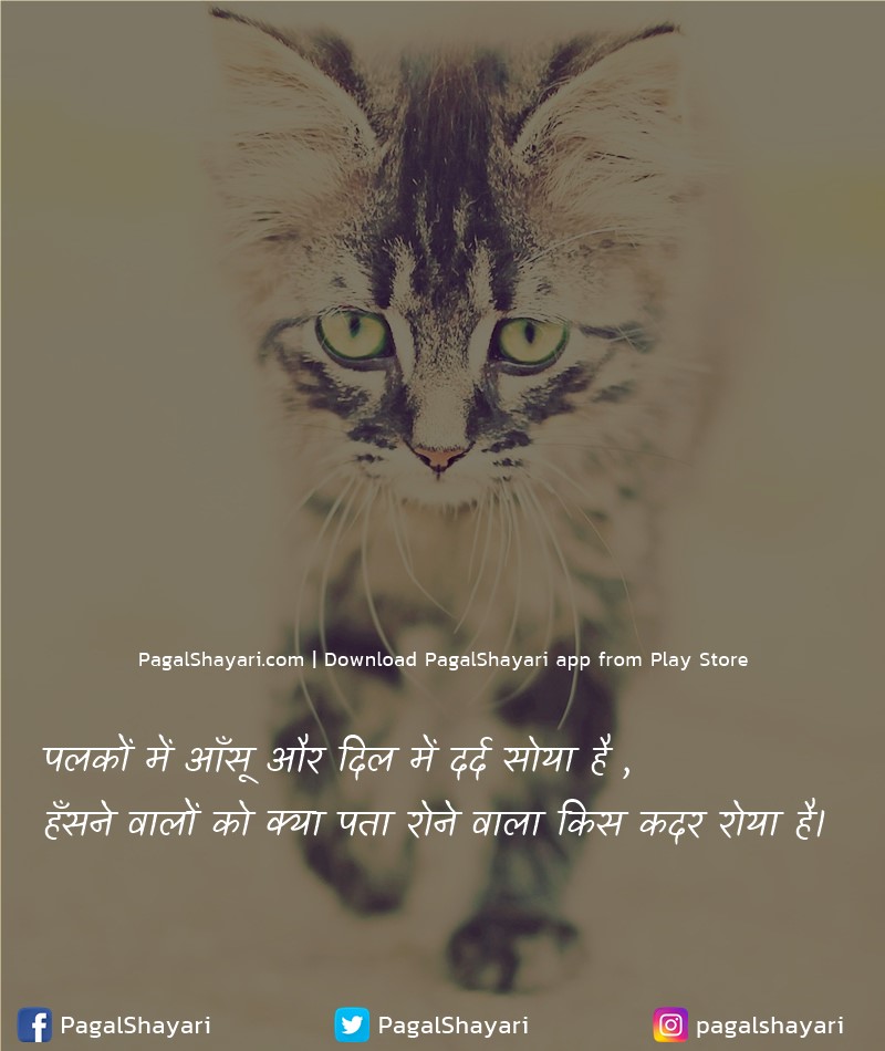 पलकों में आँसू और दिल में दर्द सोया है