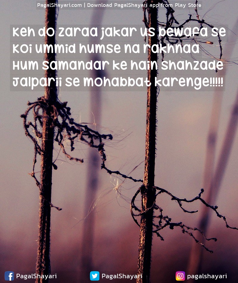 Keh Do Zaraa Jakar Us Bewafa Se