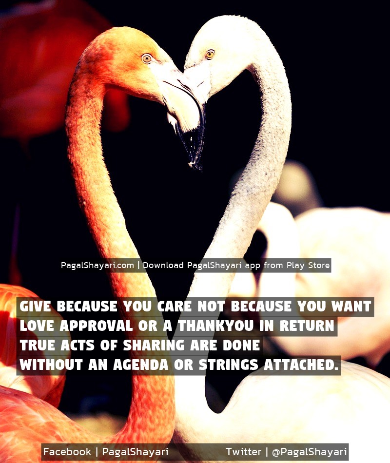 Give because you care not because you want
Love approval or a thankyou in return
True acts