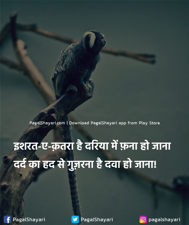 इशरत-ए-क़तरा है दरिया में फ़ना हो जाना