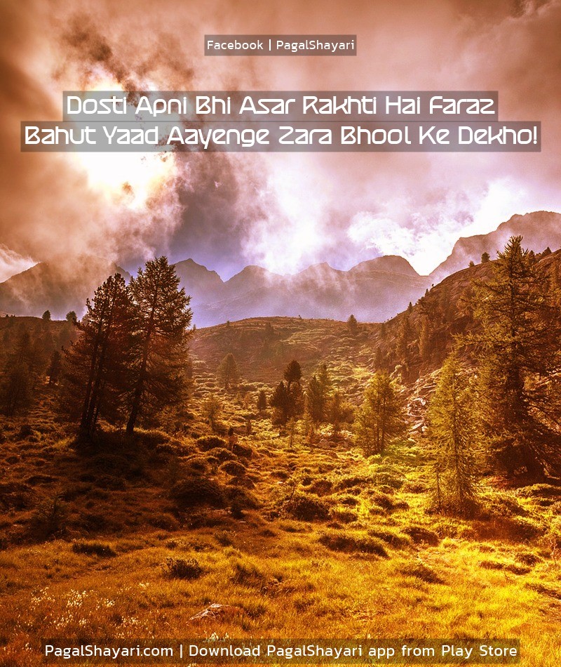 Dosti Apni Bhi Asar Rakhti Hai Faraz