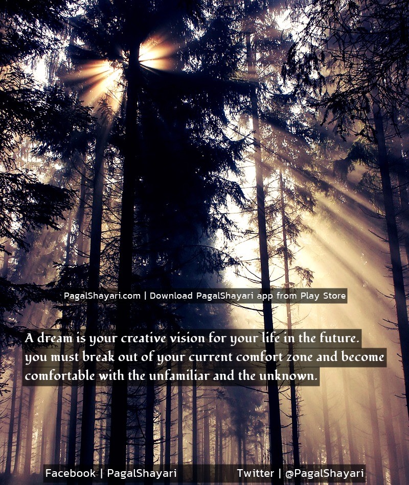 A dream is your creative vision for your life in the future