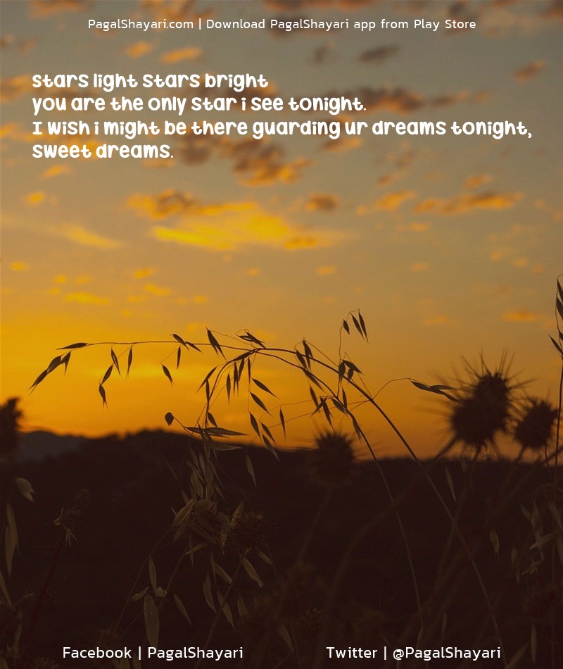 Stars light Stars bright
you are the only Star I see tonight