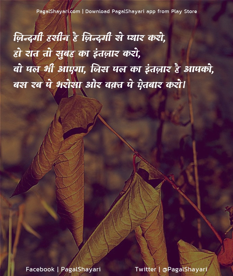 ज़िन्दगी हसीन है ज़िन्दगी से प्यार करो