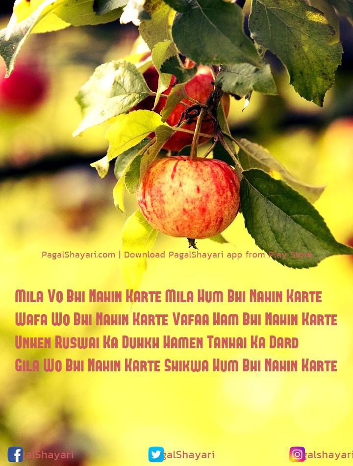 mila vo bhi nahin karte