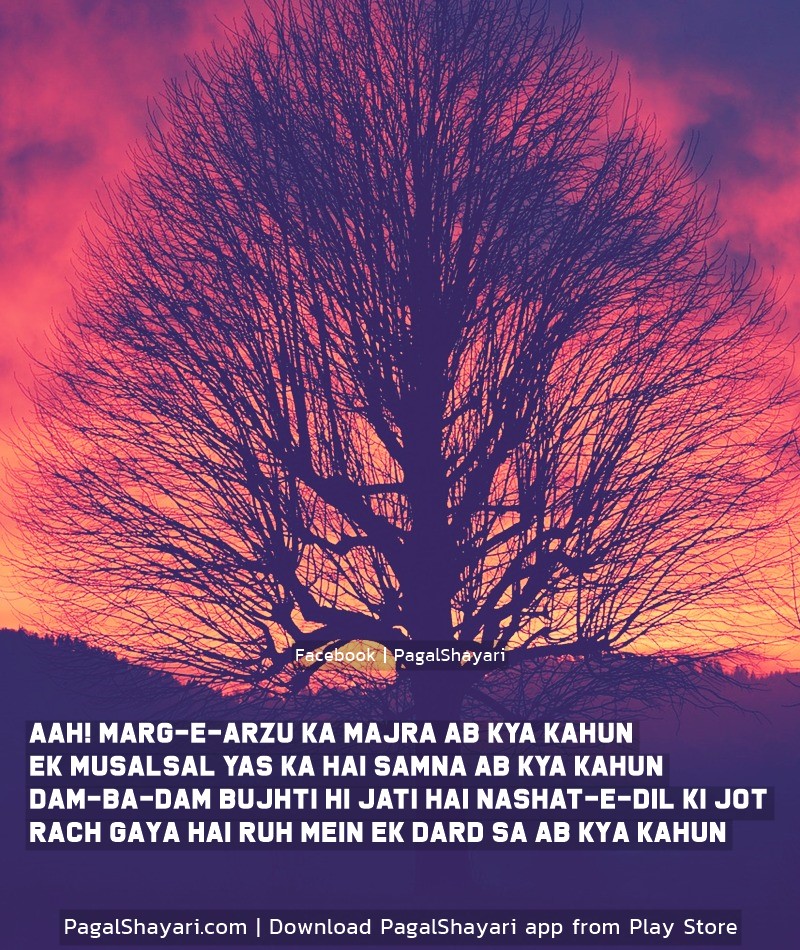 aah! marg-e-arzu ka majra ab kya kahun