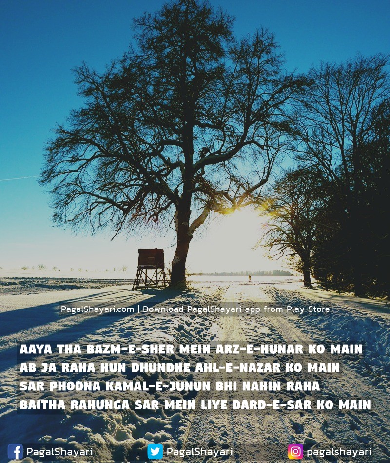 aaya tha bazm-e-sher mein arz-e-hunar ko main